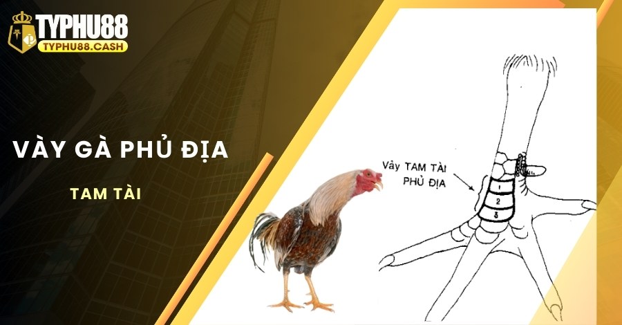 Loại vảy phủ địa xuất hiện nhiều ở gà